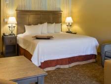 1 King Bed with Sofa Bed