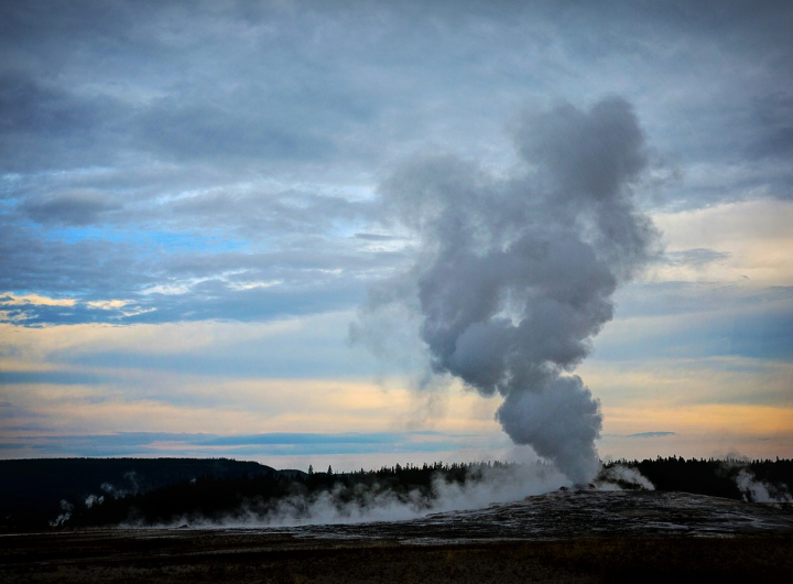 Geyser in Yellowstone National Park