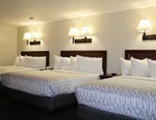 Family Room - 2 Queens & 1 Double