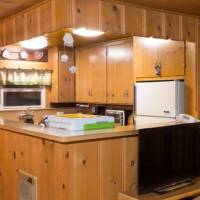 redwoods-in-yosemite-22B-5