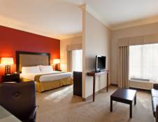 1 King Bed Suite & Sofa Bed