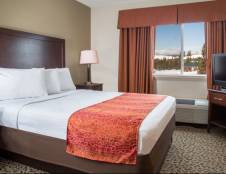 Family Suite 2 Bedroom - 2 Queens & 1 Sofa Sleeper