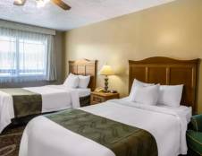 2 Queen Beds, Mountain View