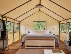 Luxury Tent - Shared Bathroom - 1 King