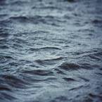 Longmire Suspension Bridge