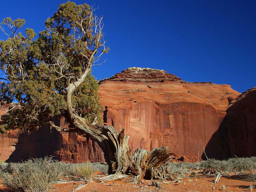 Mesa Verde | Photo Gallery