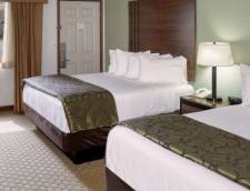 Standard Room - Mountain View - Two Queen Beds