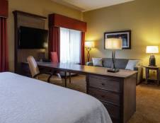 1 King Bed Studio Suite with Sofa Bed