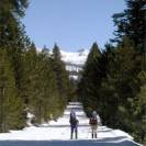  Yosemite Cross Country Skiing