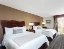 Standard Rooms - 1 King or 2 Queens