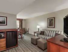 Deluxe One Bedroom Suite - 1 King & 1 Sofa Sleeper