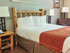 One King Deluxe Pet Friendly