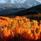 Fall Colors: Yosemite National Park 