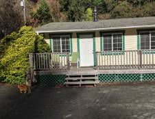 Cabin 7 Suite - 2 Queens & 2 Futons