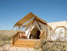 Suite with Adjacent Hive