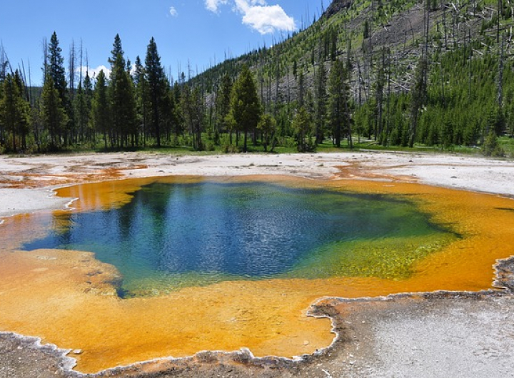 Yellowstone National Park