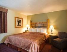 Motel Room - 1 King Main Floor