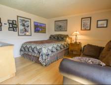 Deluxe One Bedroom Kitchen Suite