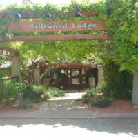 lodge driftwood