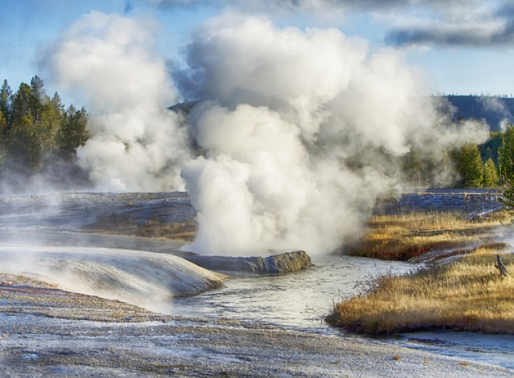 Geyser in Yellowstone National Park