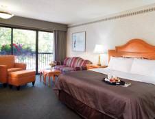 Superior Rooms - 1 King or 2 Queens