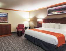 Executive King Suite