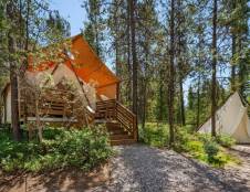 Suite with Kids Tent - 1 King, 1 Queen Sofa Sleeper & 2 Twins