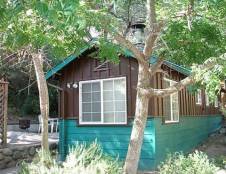 Eagle - 1 Queen & 1 Trundle Bed