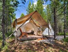 Deluxe with Kids Tent - 1 King & 2 Twins