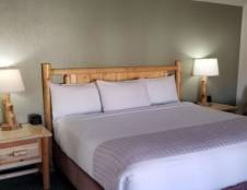 1 King Bed with Walk-In Shower