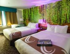 1 King or 2 Queens, Deluxe Rooms