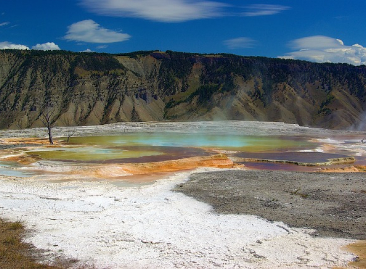 Mammoth Hot Springs