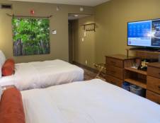 Standard Rooms - 2 Queens or 2 Doubles