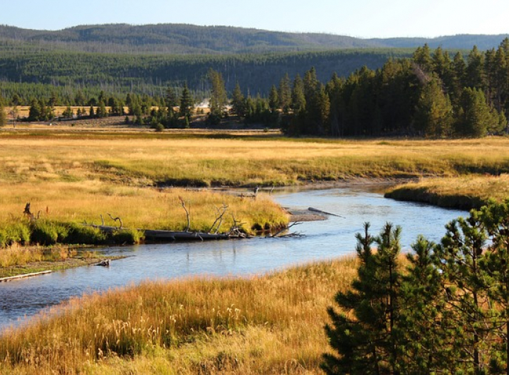 Yellowstone