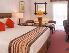 Deluxe King - 1 King