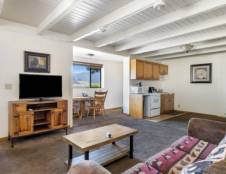 King Bedroom Apartment with Kitchen Dining & Living - 1 King & 1 Sofa Sleeper