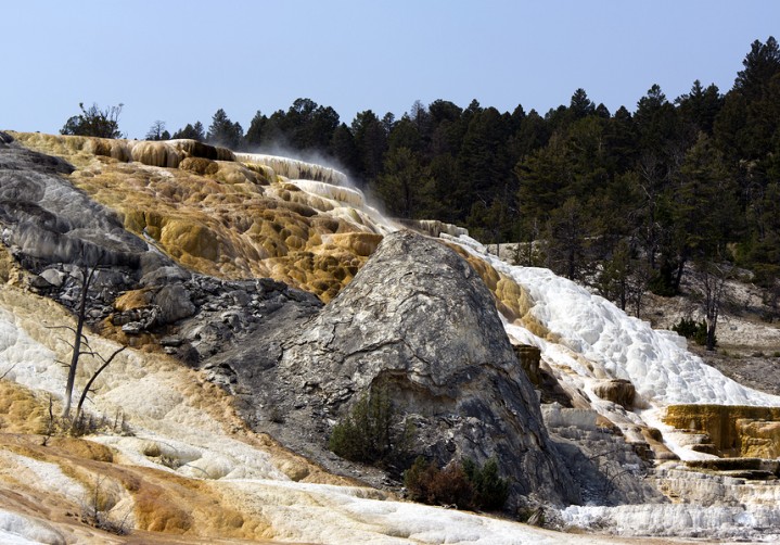 Mammoth Hot Springs