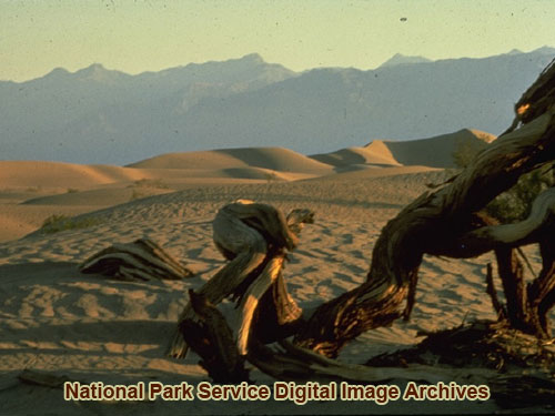 Death Valley | Photo Gallery