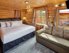 Deluxe King with Sleeper Sofa Dall Suite