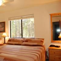 redwoods-in-yosemite-23A-9