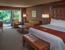 Executive with Patio - 1 King & 1 Sofa Sleeper