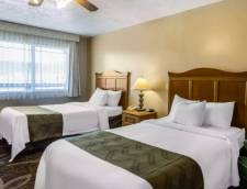 2 Double Beds, Pet-Friendly