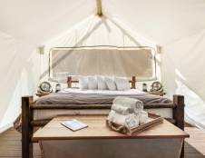 Suite Tent - 1 King & 1 Queen Sofa Sleeper
