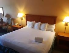 Standard Rooms - 1 King or 2 Queens