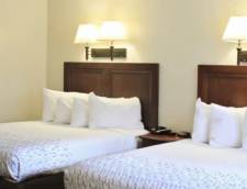 Double Queen Room - 2 Queens