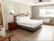 Standard Rooms - 1 King or 2 Queens