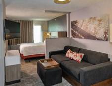 Suite, 1 King, Sofa Bed