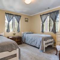 redwoods-in-yosemite-1-13