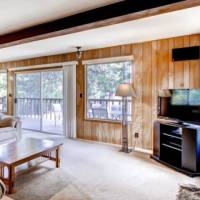 Hutchings Cabin - Living Room