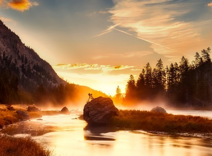 Yellowstone National Park